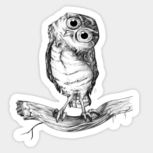 CORUJA / OWL Sticker
